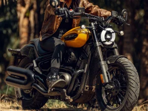 chinchilla-350-neo-2.jpeg - Miniatura