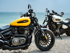 chinchilla-350-neo-3.jpeg - Miniatura