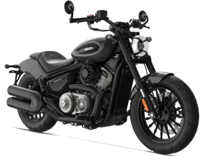 chinchilla-350-neo.png - Miniatura