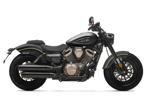 chinchilla-500-2.png - Miniatura