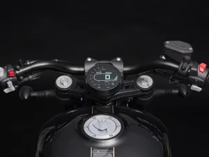 chinchilla-500-3.jpg - Miniatura