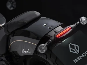 chinchilla-500-4.jpg - Miniatura