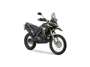 valico-300-rally-1.jpg - Miniatura